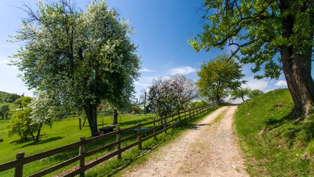 New rural development policy 'cannot become another false dawn'