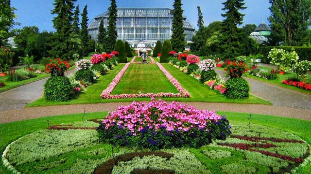 Women and over 55s drive €631m spend on gardening in Ireland