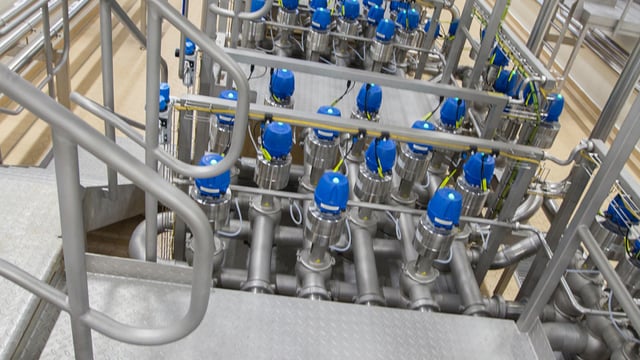 Glanbia plant is home to 36km of pipes and can process 2.5m litres a day