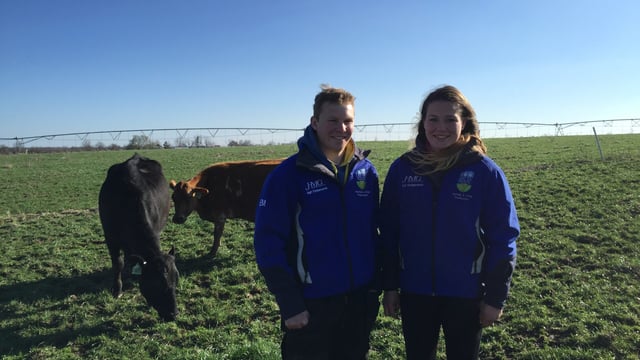 UCD students calving 600 cows in temperatures of -16