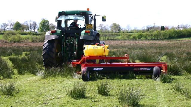 Pics: See what rushes make your land ineligible for Basic Payment