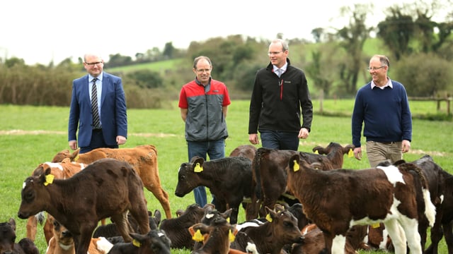 'We need to work collectively to improve our farm safety record'- Coveney