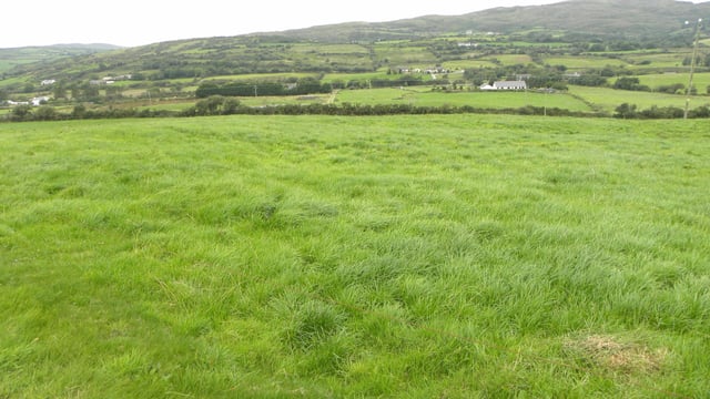 Is Ireland facing a grass famine and feast situation?