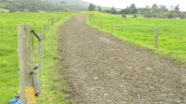 Features on Irish farms that are ineligible for payments