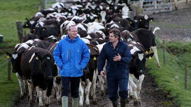 Coveney predicts milk price recovery for 2016 - dairy incomes to fall 40% in 2015