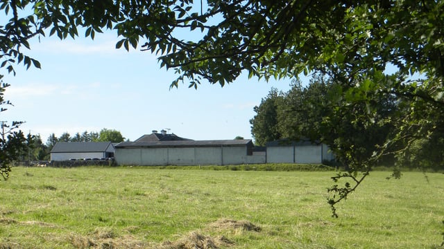 Knackery disruption 'last thing farmers need' - ICSA