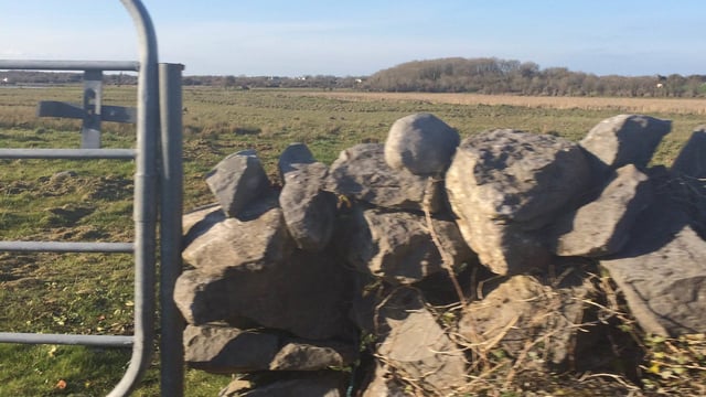 ICMSA 'guarantees' legal challenges against farmland CPOs
