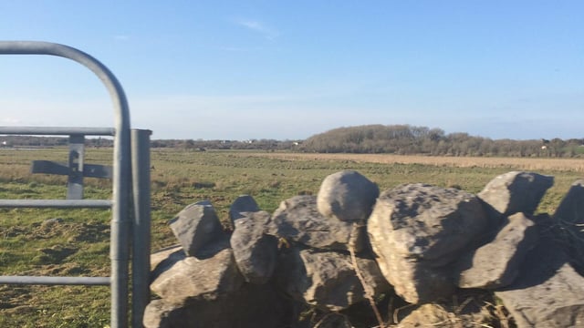 'Slow' GLAS uptake by commonage farmers not surprising, says INHFA