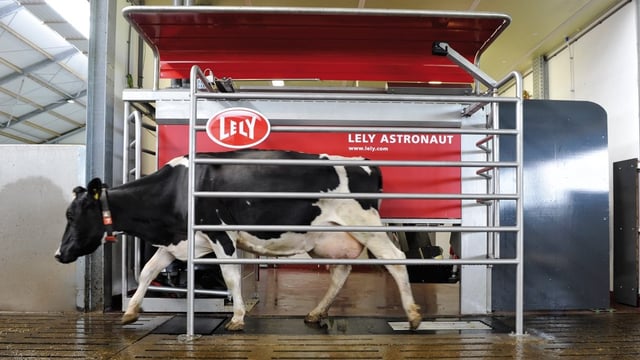 Lely Atlantic to host robotic milking event