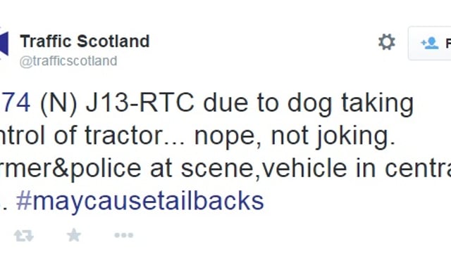 Barking mad: dog crashes tractor it's driving!