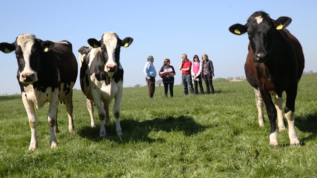Farm safety must be a top priority for farmers - Ulster Bank