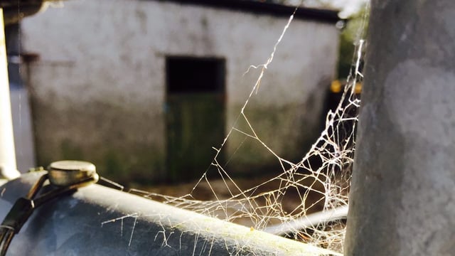 Farmers call for ‘urgent review’ of inspections procedure after Oireachtas hearing