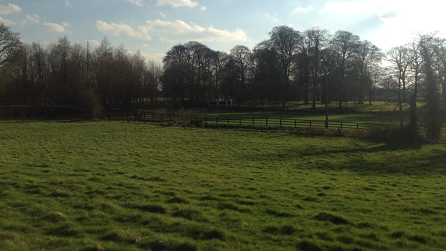 Agricultural-led biogas a 'strategic national opportunity' - KPMG