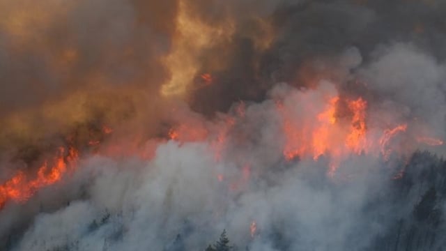 INHFA seeks extension of burning dates after wet winter