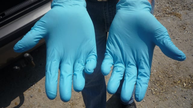 Gloves-looking after your cows and hands - AHI