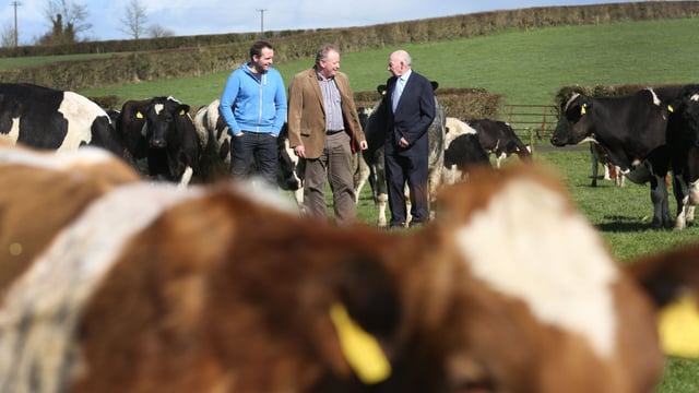 IFA to meet with Kerry over milk price and thirteenth payment as farmer anger grows