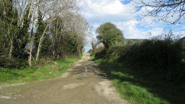 Rural roads priorities 'a matter exclusively' for councils - Humphreys