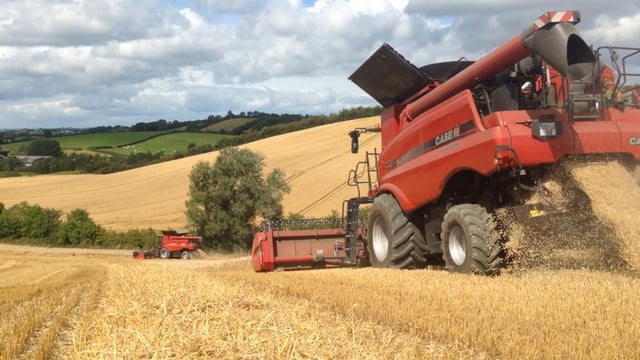 New disease early warning systems to be developed for crops