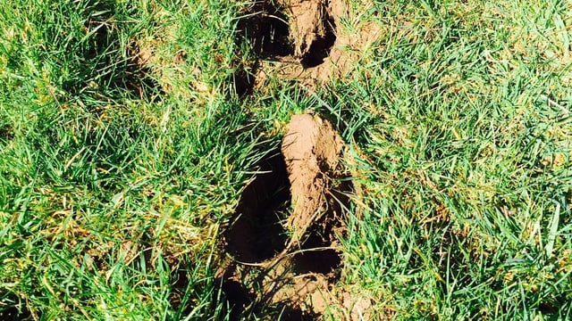 'Mostly dry' weather should see field conditions improve this week