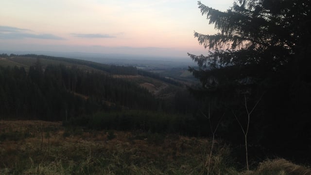 Forestry Appeals Committee chair reappointed on 3-month basis