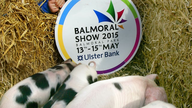 Video: Day 2 at Balmoral Show