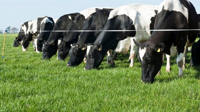 'My milk fat has dropped in the last two weeks – should I be worried?'
