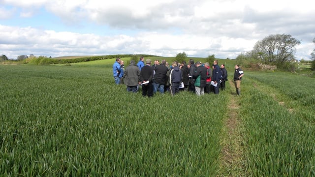Latest research findings to be presented at crops open day