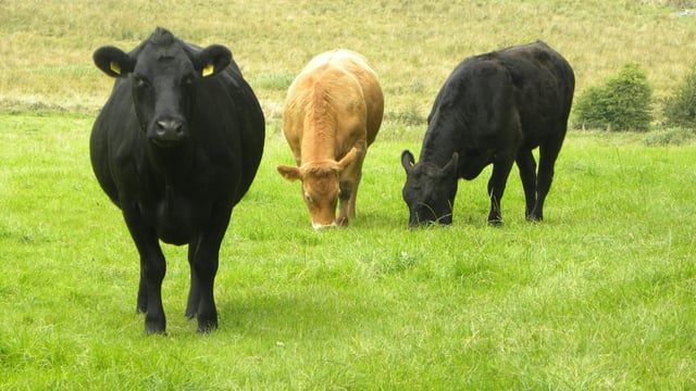 Mayo farmers top GLAS applications