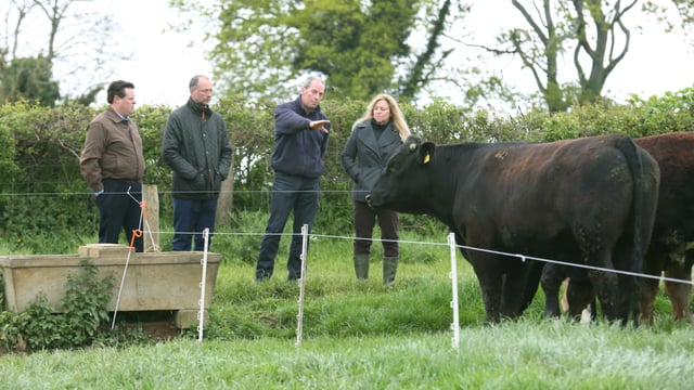 Irish beef is a hit with US distributors and food writers - Bord Bia