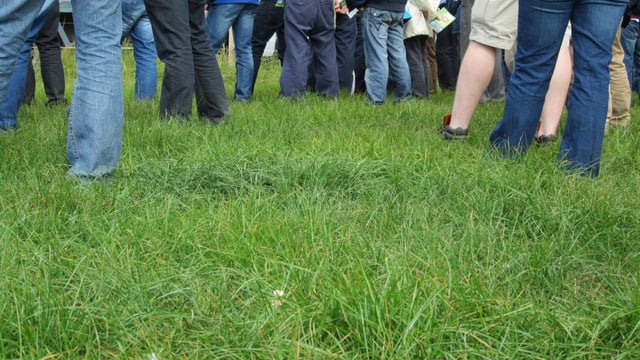 Farmers won't know until August if they have GLAS approval
