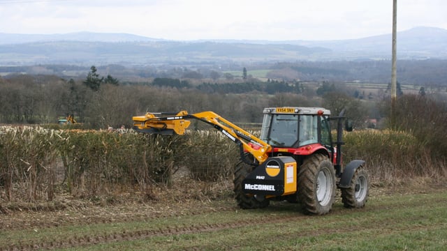 Minister called on to shorten hedge cutting closed season
