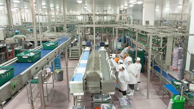 Moy Park strike continues at Randalstown plant