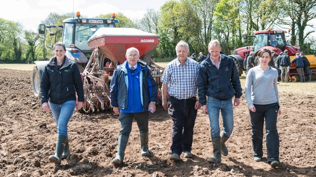 'Maximise value of reseeding by including perennial ryegrass varieties'
