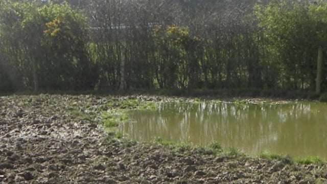 Some farmers are dealing with 500% of normal May rainfall