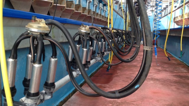 Dairy markets: Ornua PPI sees another drop for April