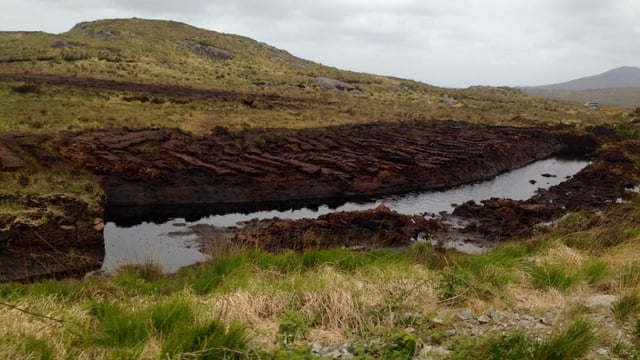 Living Bog project completes work on all 12 sites