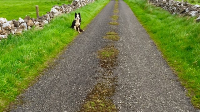 Over 7,000 Single Farm Payment over-claims in 2014
