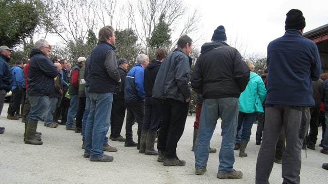 Hundreds of advisors apply for new discussion group scheme