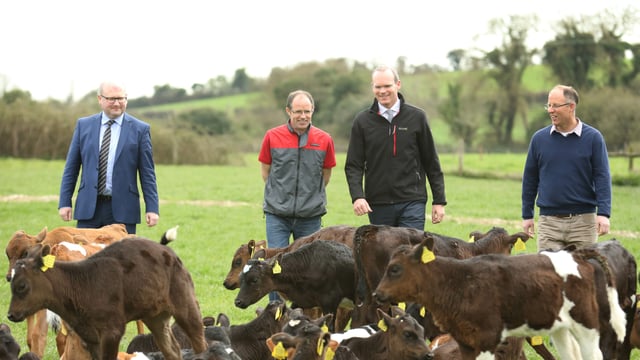 130,000 extra calf births so far this year is 'positive' says Coveney