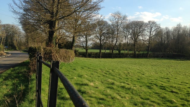Political pressure mounts for hedge-cutting extension