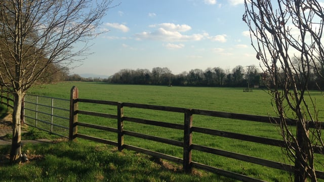 Grass management advice for the remainder of the grazing season - Teagasc
