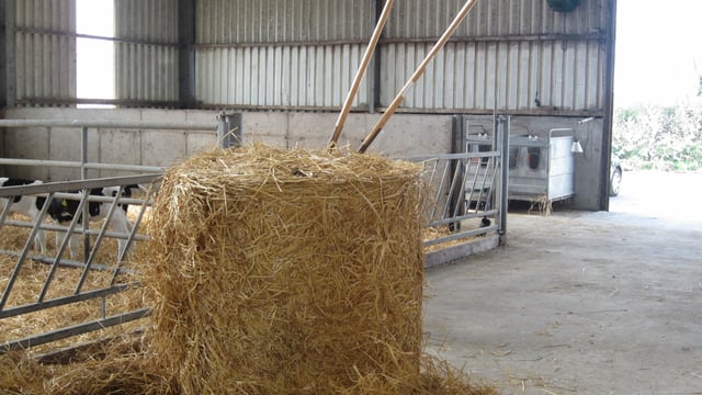 Straw market hardens as prices average €18-20/bale nationwide