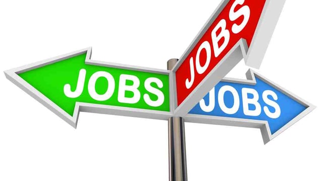 Agri-jobs: Digital comms, assistant mart manager, international sales roles on offer