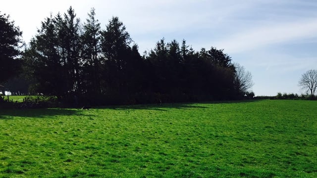 Eco schemes - ICSA 'relieved' to see additional options and improvements