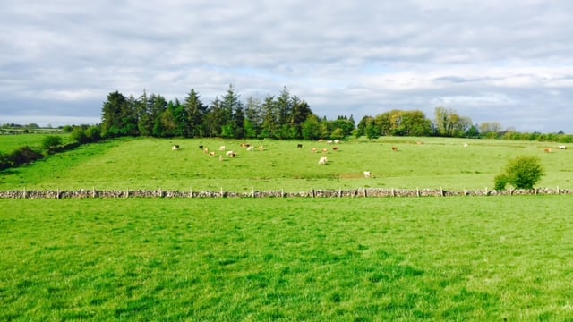 Northern farmers face new compulsory purchase measures