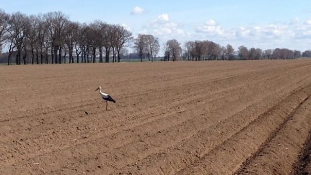 Farming opportunities abound in western Poland