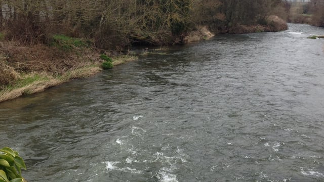 'I can't cut silage and got rid of all the cows last year' - farmer tells of flooding woes