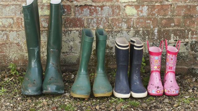 Farm families 'struggling to meet needs' after storm damage