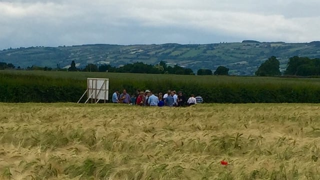 Tillage farmers spend €80m/year on crop protection - Teagasc