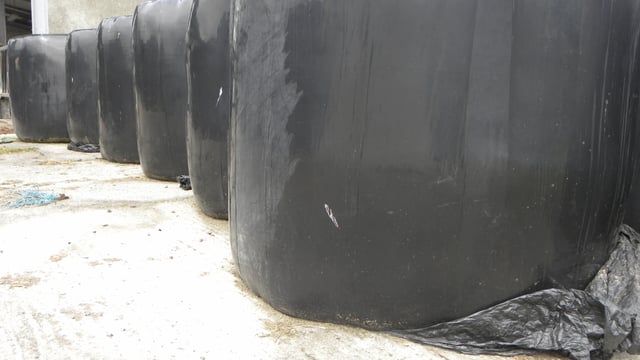 Silage wrap prices set to increase by €7/roll